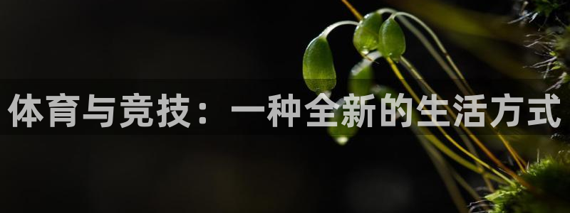 球速体育