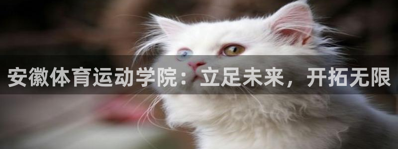 球速体育