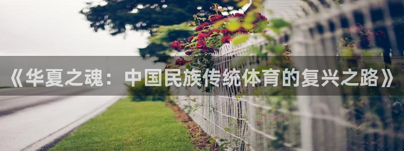 球速体育