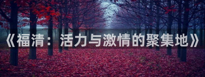 球速体育