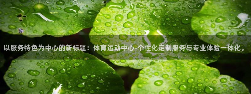 球速体育