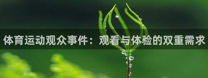 球速体育