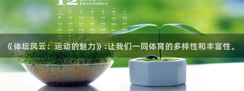 球速体育