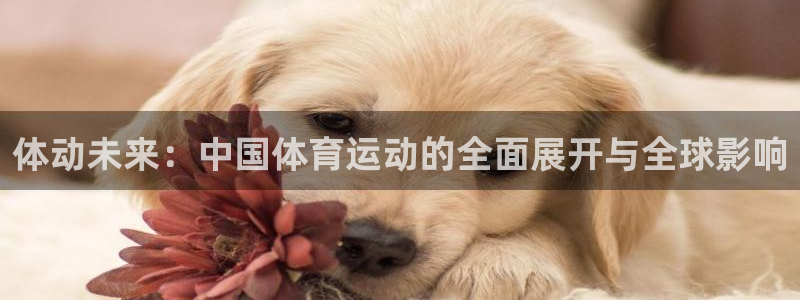 球速体育