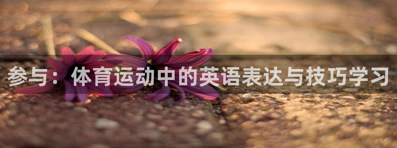球速体育