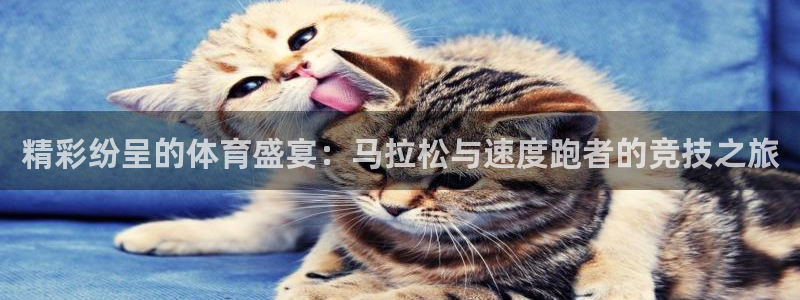 球速体育