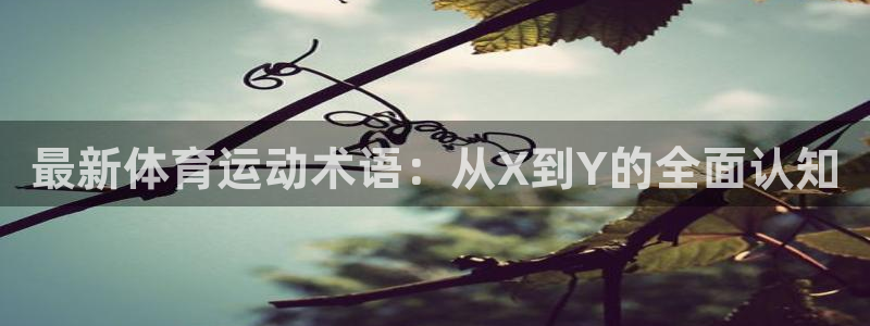 球速体育
