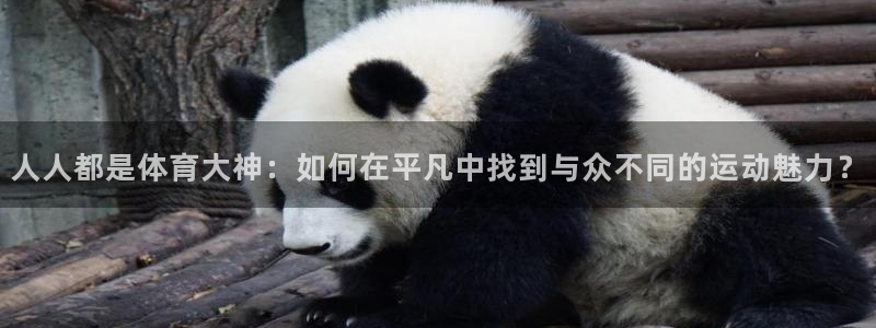 球速体育