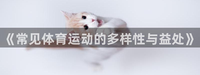 球速体育
