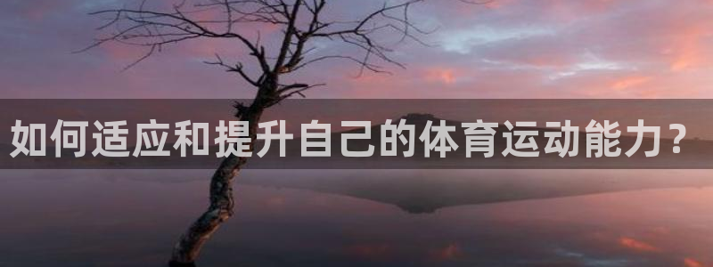 球速体育