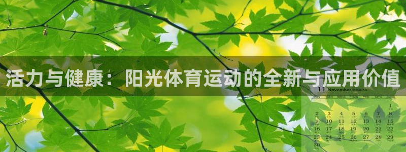 球速体育