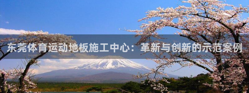 球速体育